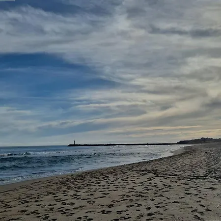 Cosy, Clim, Sud Ensoleille - 2 Pers. - Fr-1-867-11 * Agde